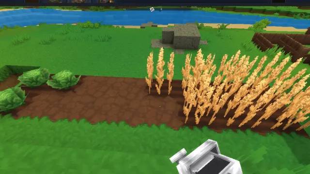 Hytale crops wheat and cabbage ready for harvest